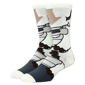 Appa Character Socks